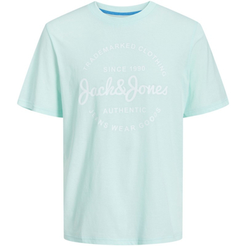 textil Hombre Camisetas manga corta Jack & Jones 12247972 JJFOREST TEE SS CREW NECK SOOTHING SEA Azul