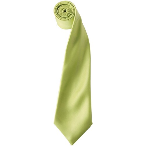 textil Corbatas y accesorios Premier Colours Verde