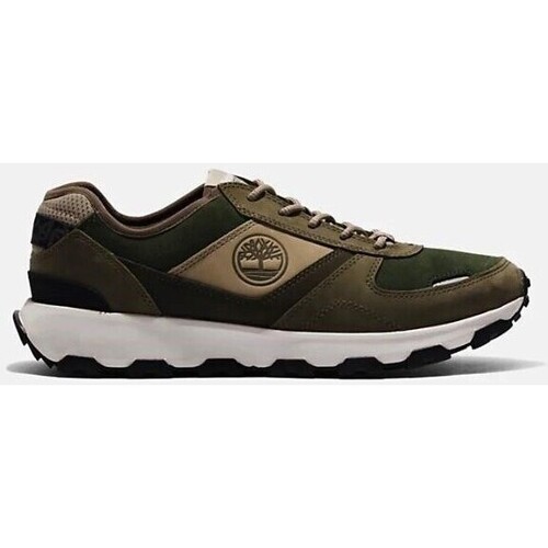 Zapatos Hombre Zapatillas bajas Timberland WINSOR PARK Verde