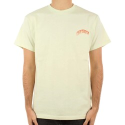 textil Hombre Tops y Camisetas Propaganda T-Shirt Triangle Cobrahm Verde