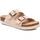 Zapatos Mujer Sandalias Xti 14255203 Marrón