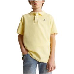 textil Niño Camisetas manga corta Scalpers 46491 Yellow Amarillo