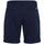 textil Hombre Pantalones cortos Tommy Hilfiger DM0DM18812-C1G Azul