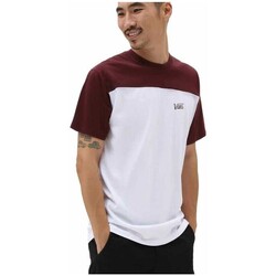 textil Hombre Camisetas manga corta Vans SCRIPT CREW BLOCK Blanco