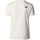 textil Hombre Camisetas manga corta The North Face FOUNDATION GRATHIC Blanco