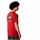 textil Hombre Camisetas manga corta The North Face REDBOX TEE Rojo