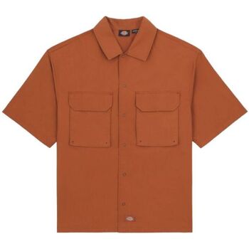 textil Hombre Camisas manga larga Dickies Camisa Fishersville Hombre Light Brown Marrón