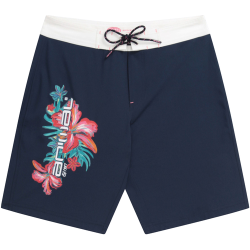 textil Mujer Shorts / Bermudas Animal Nora Classic Multicolor