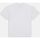 textil Hombre Tops y Camisetas Dickies ENTERPRISE TEE DK0A4YRN-WHX WHITE Blanco