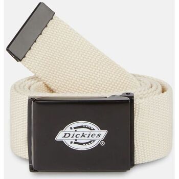 Accesorios textil Cinturones Dickies ORCUTT DK0A4X7E-EF9 WHITECAP Gris