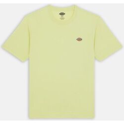 textil Hombre Tops y Camisetas Dickies MAPLETON TEE SS 0A4XDB-141 PALE GREEN Verde