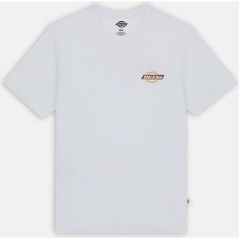 textil Hombre Tops y Camisetas Dickies RUSTON TEE SS DK0A4XDC-H80 WHT/PALE GREEN Blanco