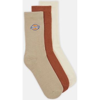 Ropa interior Calcetines Dickies VALLEY GROVE DK0A4X82-SS0 SANDSTONE Beige
