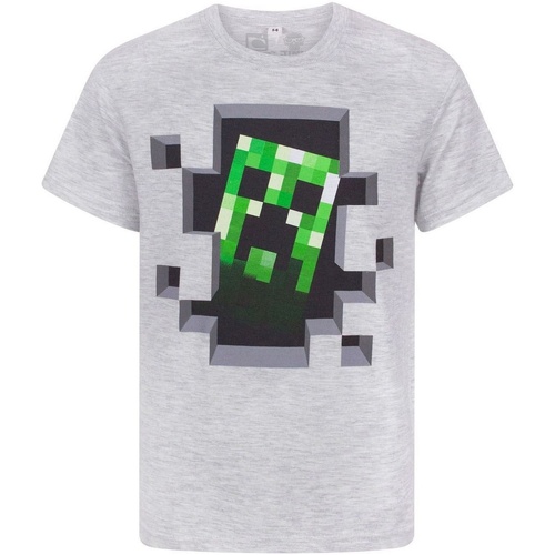 textil Niños Camisetas manga corta Minecraft Creeper Inside Gris