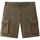 textil Hombre Shorts / Bermudas Woolrich Pantalones cortos Classic Cargo Hombre Lake Olive Verde