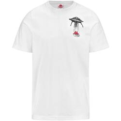 textil Hombre Camisetas manga corta Kappa 381P57W-A1B Blanco
