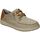 Zapatos Hombre Derbie & Richelieu Skechers 210116-TPE Beige