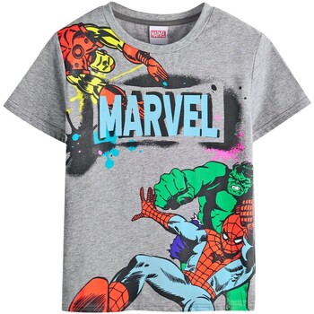 textil Niños Camisetas manga corta Marvel NS8186 Gris