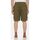textil Hombre Shorts / Bermudas Dickies JACKSON CARGO SHORT DK0A4YAC-MGR MILITARY GREEN Gris