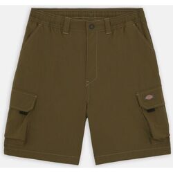 textil Hombre Shorts / Bermudas Dickies JACKSON CARGO SHORT DK0A4YAC-MGR MILITARY GREEN Gris