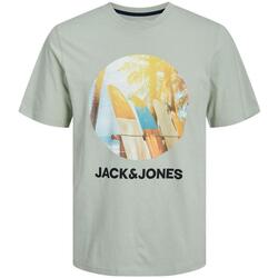 textil Hombre Camisetas manga corta Jack & Jones 12247982-Desert Sage Verde