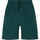 textil Hombre Shorts / Bermudas Born Living Yoga Short Natron Verde