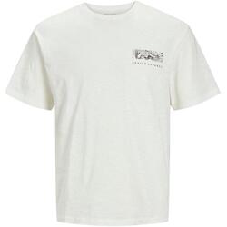 textil Hombre Camisetas manga corta Jack & Jones 12249187-Cloud Dance Blanco