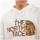 textil Hombre Sudaderas The North Face STANDARD HOODIE Beige