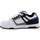Zapatos Hombre Zapatillas bajas DC Shoes Stag 320188-HYB Multicolor