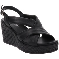 Zapatos Mujer Sandalias IgI&CO IG-5673600 Negro
