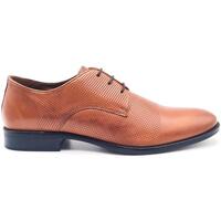 Zapatos Hombre Derbie & Richelieu T2in A023059 Marrón
