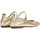 Zapatos Mujer Bailarinas-manoletinas Wonders SEÚL A-86101 Marrón