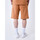 textil Hombre Shorts / Bermudas Project X Paris  Marrón