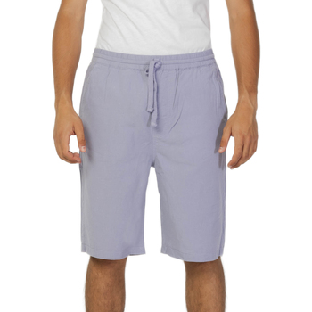 textil Hombre Shorts / Bermudas Lee RELAXED DRAWSTRING L70KSAUU Violeta