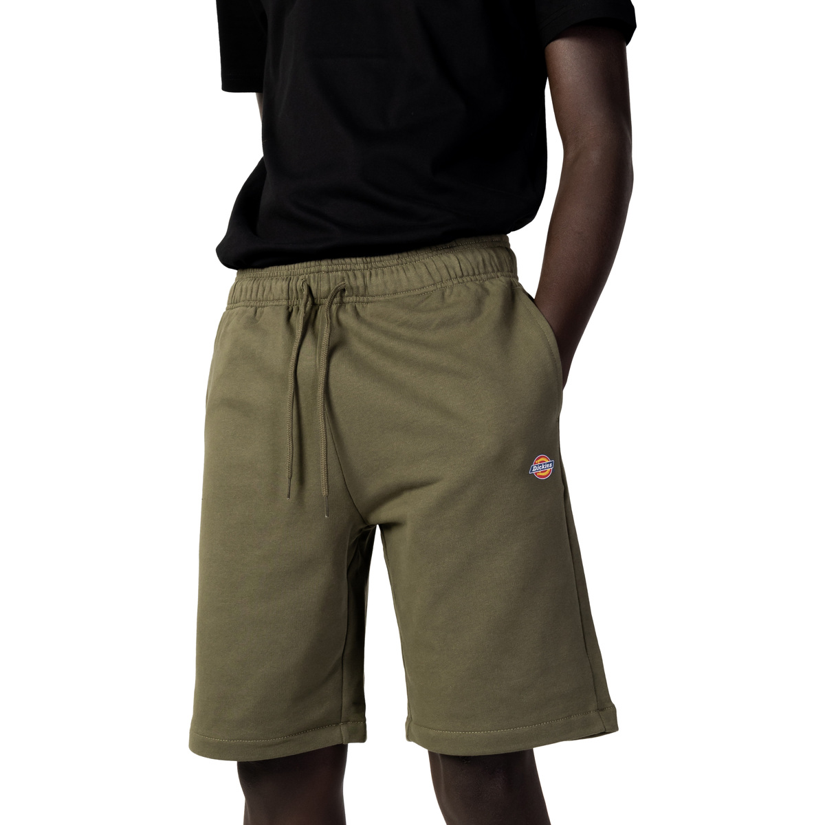 textil Hombre Shorts / Bermudas Dickies MAPLETON DK0A4Y83 Verde
