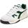 Zapatos Hombre Deportivas Moda Diadora WINNER SL 501.179583 Verde