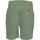 textil Hombre Shorts / Bermudas U.S Polo Assn. BALD 67351 52088 Verde