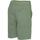 textil Hombre Shorts / Bermudas U.S Polo Assn. BALD 67351 52088 Verde