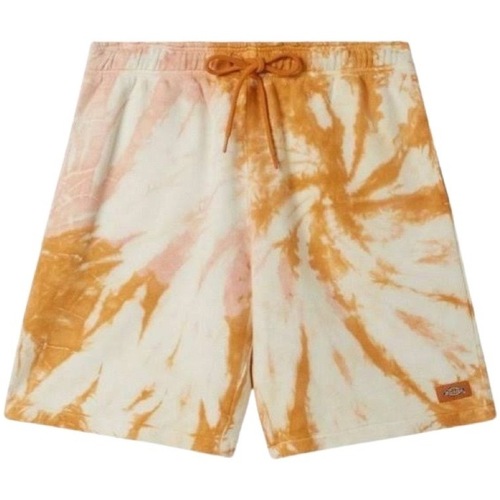 textil Hombre Shorts / Bermudas Dickies DK0A4XNHC381-C38 Otros