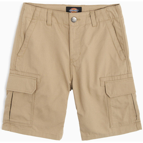 textil Hombre Shorts / Bermudas Dickies DK0A4XEDKHK1 Marrón