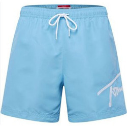 textil Hombre Shorts / Bermudas Tommy Hilfiger UM0UM02862 CY7 Azul