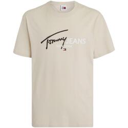 textil Hombre Camisetas manga corta Tommy Hilfiger DM0DM18572ACG Marrón