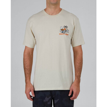 textil Hombre Tops y Camisetas Salty Crew Siesta premium s/s tee Beige