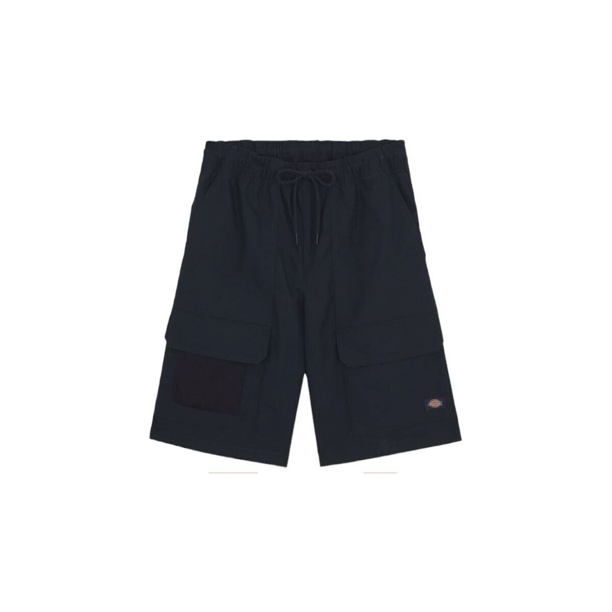 textil Hombre Shorts / Bermudas Dickies Pantalones cortos Fishersville Cargo Hombre Dark Navy Azul