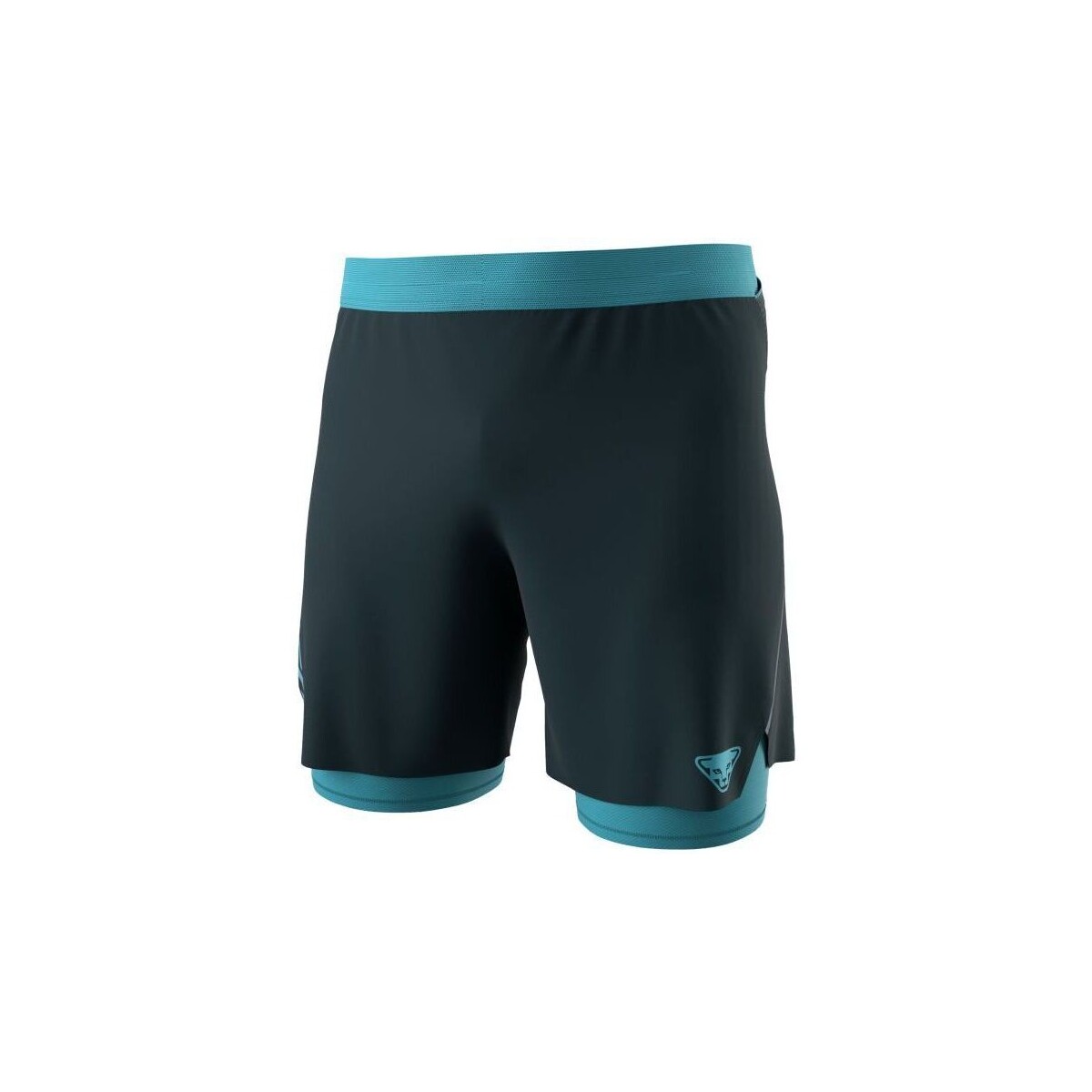 textil Hombre Shorts / Bermudas Dynafit Pantalones cortos Alpine Pro 2in1 Hombre Blueberry/Storm Blue Azul