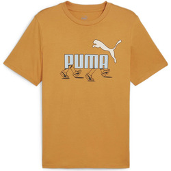 textil Hombre Polos manga corta Puma GRAPHICS Sneaker Tee Naranja