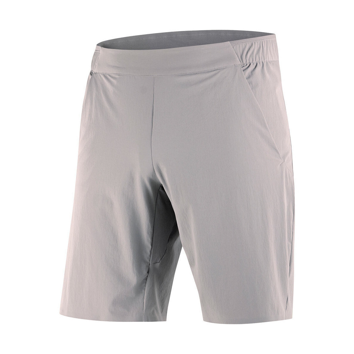 textil Hombre Shorts / Bermudas Salomon WAYFARER EASE SHORTS M Gris