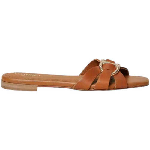 Zapatos Mujer Zuecos (Mules) Twin Set  Marrón