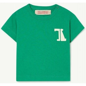 textil Niños Tops y Camisetas The Animals Observatory S23076_028_BZ Verde