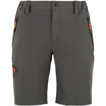 textil Hombre Shorts / Bermudas Peak Mountain Short de randonnée homme CESSOR Gris